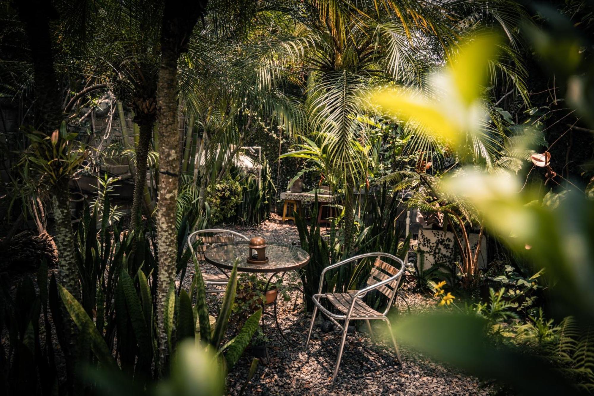 Baraka Antigua Villa Exteriör bild